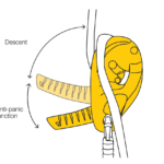 id-l-descensor-autoblocante-função-anti-pânico-petzl-modelo-novo-4